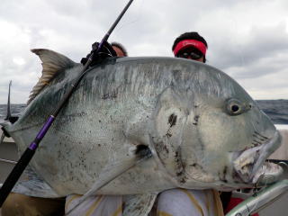 Carpenter 2014 ZEUS ZS 150+50 - PROSHOP FISHING の 君子海釣