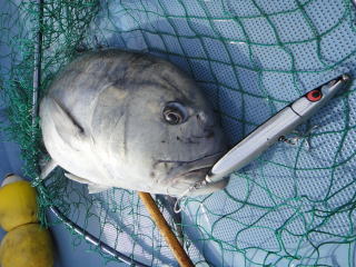 Carpenter 2014 ZEUS ZS 150+50 - PROSHOP FISHING の 君子海釣