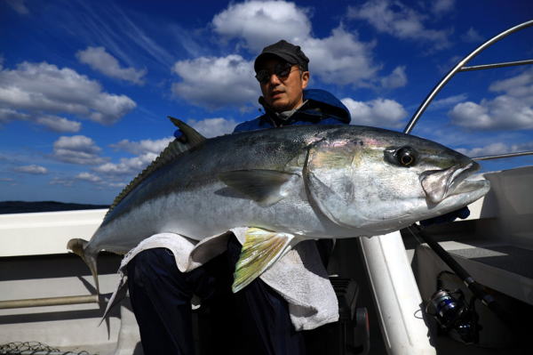 カーペンター ＰＪ８０／３６ ヒラマサロッド