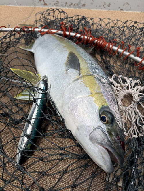 カーペンター KLL／MODEL.006A 最終値下 株）カーペンター 釣具 ルアー